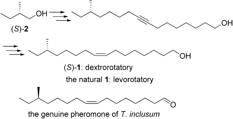 Overview of Kenji Mori's pheromone synthesis series.