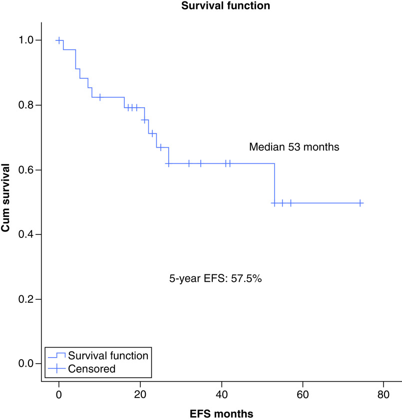 Improved survival of adolescents and young adults patients with T-cell acute lymphoblastic leukemia.