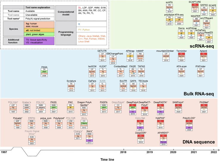 A Survey on Methods for Predicting Polyadenylation Sites from DNA Sequences, Bulk RNA-seq, and Single-cell RNA-seq