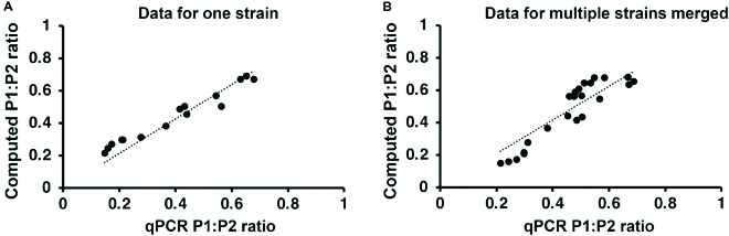 qSanger: Quantification of Genetic Variants in Bacterial Cultures by Sanger Sequencing.