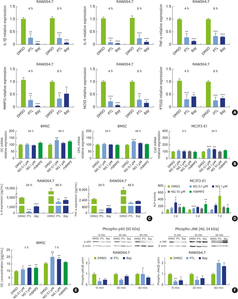 Sequential anti-inflammatory and osteogenic effects of a dual drug delivery scaffold loaded with parthenolide and naringin in periodontitis.