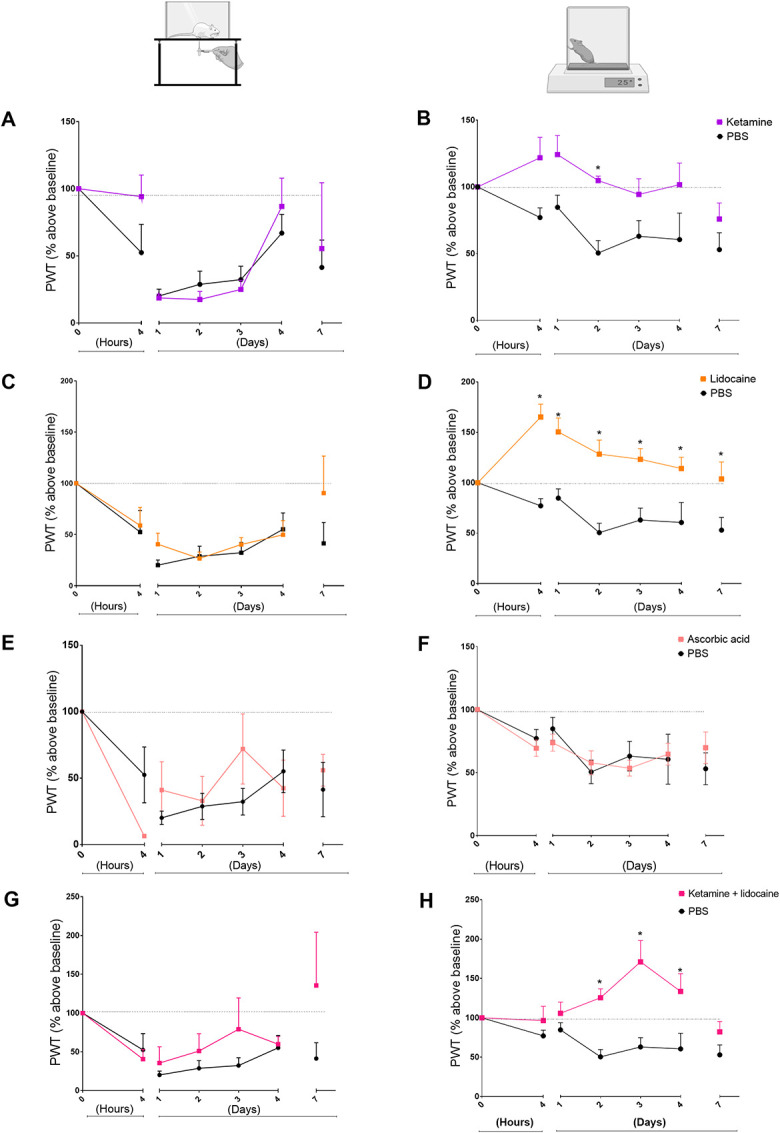 Preclinical study in a postoperative pain model to investigate the action of ketamine, lidocaine, and ascorbic acid in reversing fentanyl-induced, non-glutamate-dependent hyperalgesia.