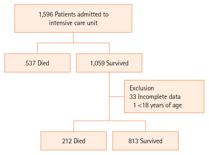 Risk factors for hospital mortality in intensive care unit survivors: a retrospective cohort study.