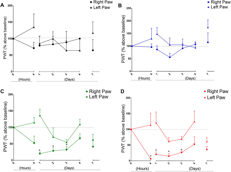 Preclinical study in a postoperative pain model to investigate the action of ketamine, lidocaine, and ascorbic acid in reversing fentanyl-induced, non-glutamate-dependent hyperalgesia.