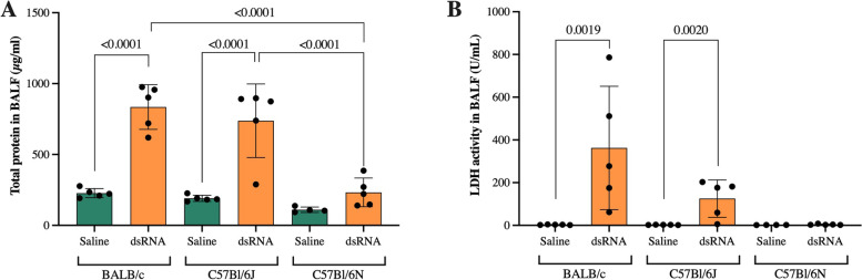 C57Bl/6N mice have an attenuated lung inflammatory response to dsRNA compared to C57Bl/6J and BALB/c mice.