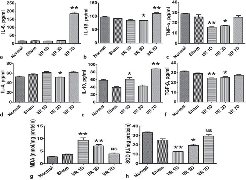 GDF11 Improves Ischemia-Reperfusion-Induced Acute Kidney Injury via Regulating Macrophage M1/M2 Polarization.