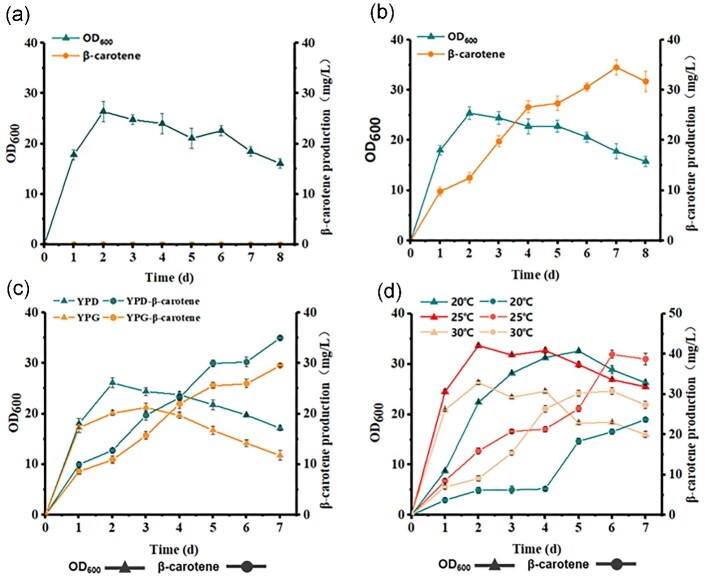 Enhanced β-carotene production in Yarrowia lipolytica through the metabolic and fermentation engineering.