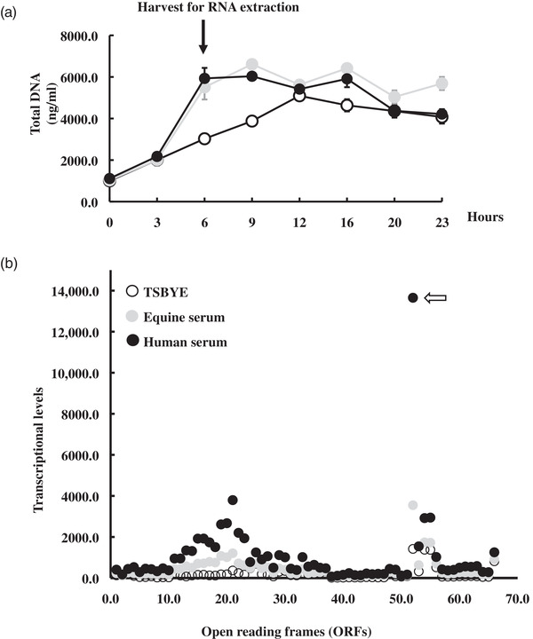 Increased sensitivity of Aggregatibacter actinomycetemcomitans to human serum is mediated by induction of a bacteriophage.