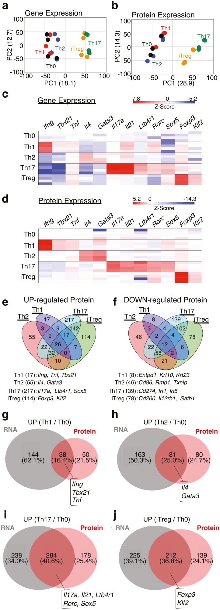 Characterization of proteogenomic signatures of differentiation of CD4+ T cell subsets.