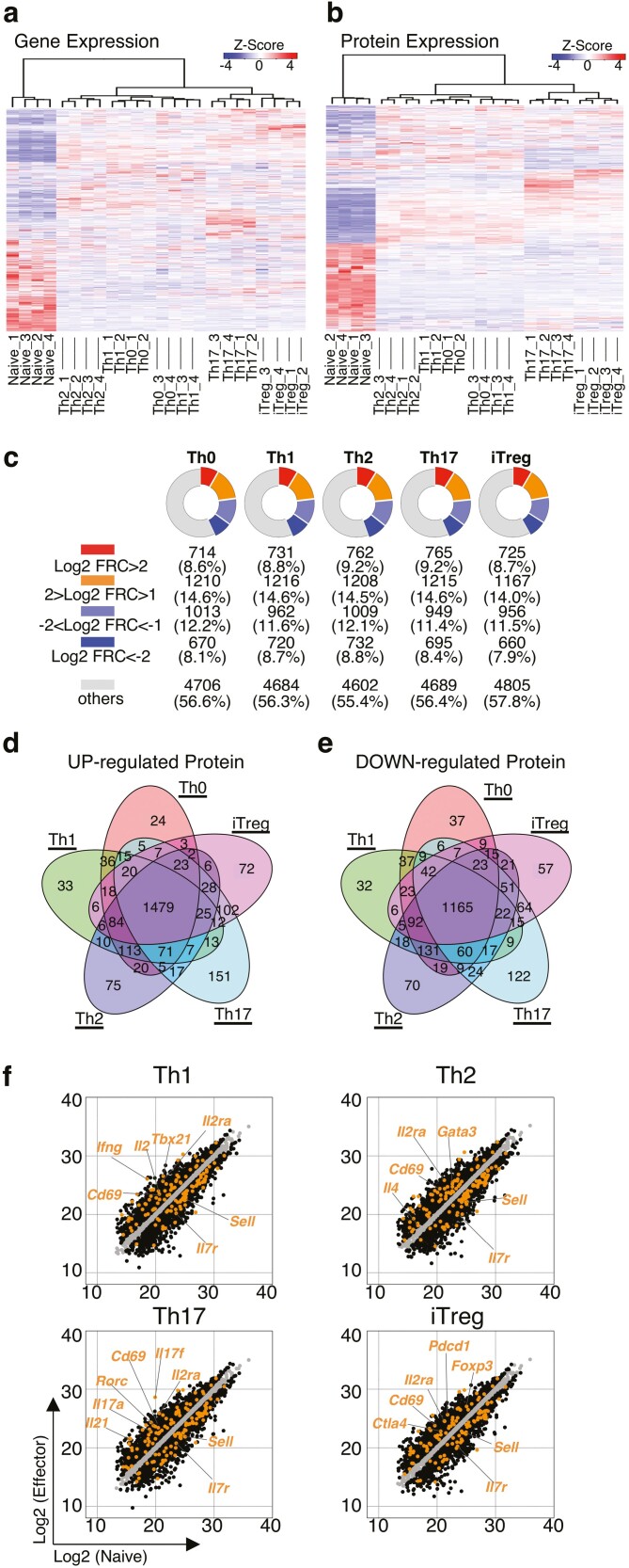 Characterization of proteogenomic signatures of differentiation of CD4+ T cell subsets.