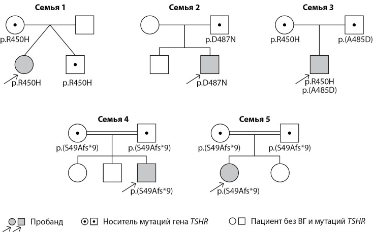 [Pathogenic <i>TSHR</i> variants in children with thyroid dysgenesis].