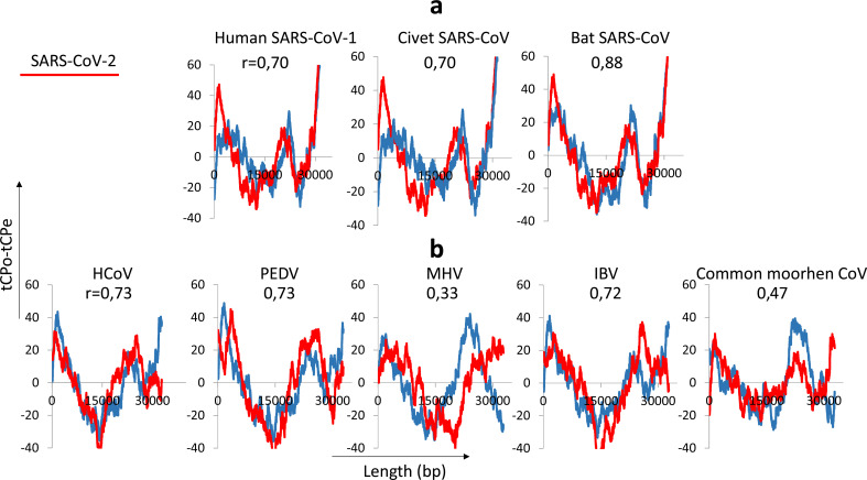 New Short RNA Motifs Potentially Relevant in the SARS-CoV-2 Genome.