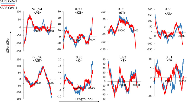 New Short RNA Motifs Potentially Relevant in the SARS-CoV-2 Genome.