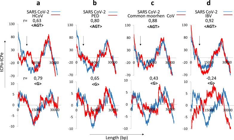 New Short RNA Motifs Potentially Relevant in the SARS-CoV-2 Genome.