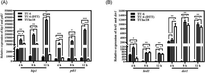 Enhancing the production of a heterologous Trametes laccase (LacA) by replacement of the major cellulase CBH1 in Trichoderma reesei.