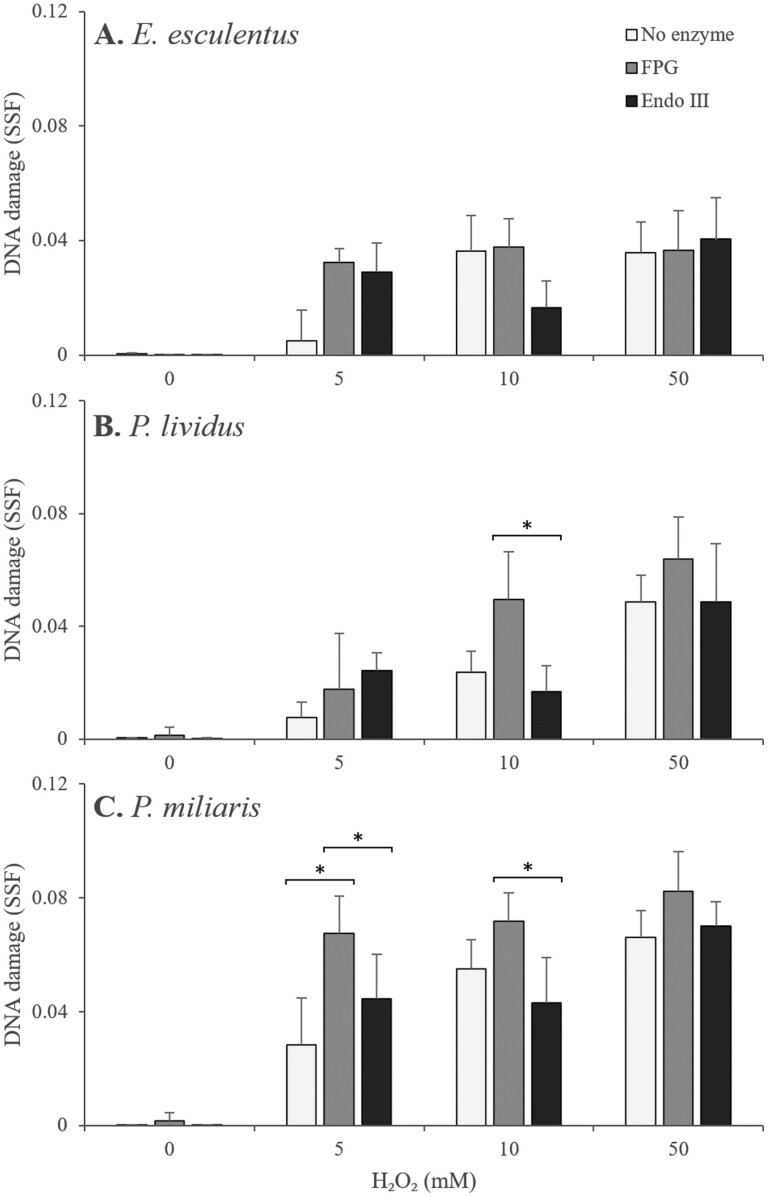 Interspecific differences in oxidative DNA damage after hydrogen peroxide exposure of sea urchin coelomocytes.