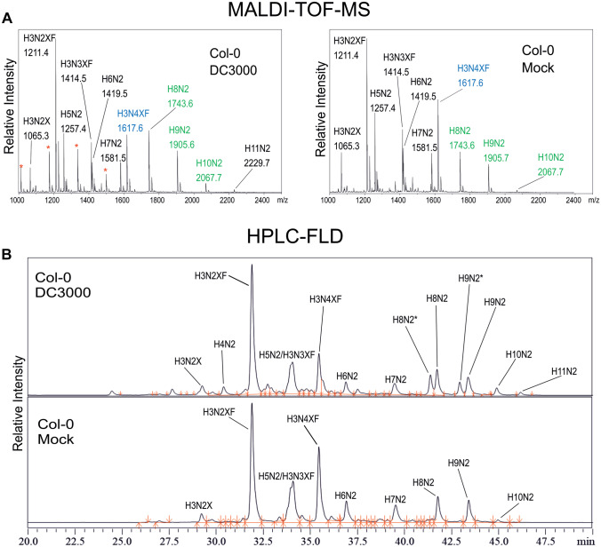 Pseudomonas syringae DC3000 infection increases glucosylated N-glycans in Arabidopsis thaliana.