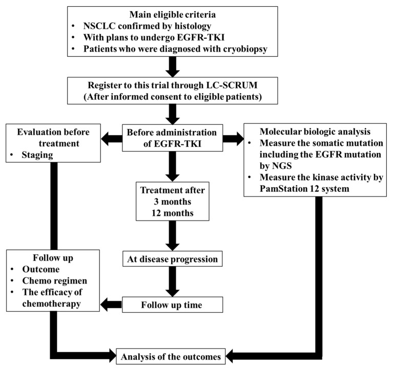 Comprehensive Kinase Activity Profiling Revealed the Kinase Activity Patterns Associated with the Effects of EGFR Tyrosine Kinase Inhibitor Therapy in Advanced Non-Small-Cell Lung Cancer Patients with Sensitizing EGFR Mutations.