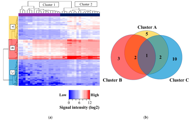 Comprehensive Kinase Activity Profiling Revealed the Kinase Activity Patterns Associated with the Effects of EGFR Tyrosine Kinase Inhibitor Therapy in Advanced Non-Small-Cell Lung Cancer Patients with Sensitizing EGFR Mutations.