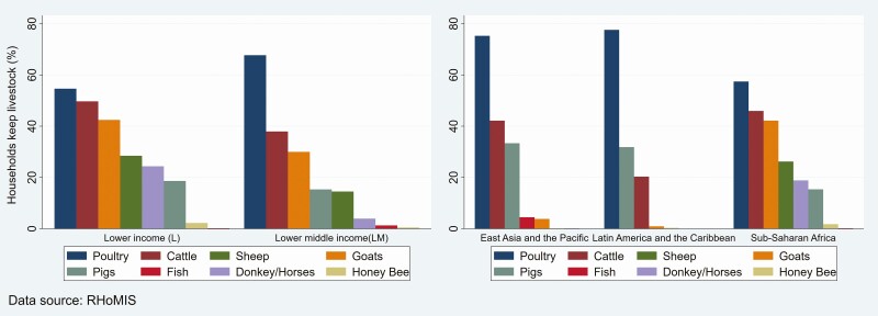 Smallholder poultry production in the context of increasing global food prices: roles in poverty reduction and food security.