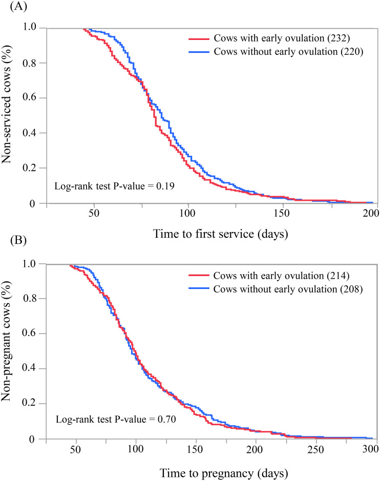 Seasonality in resumption of ovarian activity and reproductive performance of postpartum Holstein cows.