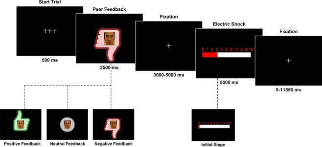 Incidental physical pain reduces brain activities associated with affective social feedback and increases aggression.