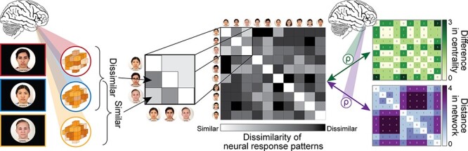 Neural encoding of novel social networks: evidence that perceivers prioritize others' centrality.