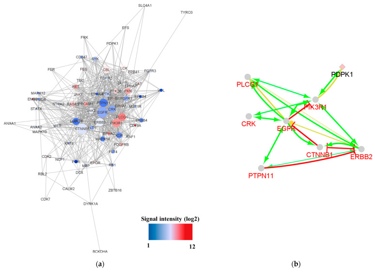 Comprehensive Kinase Activity Profiling Revealed the Kinase Activity Patterns Associated with the Effects of EGFR Tyrosine Kinase Inhibitor Therapy in Advanced Non-Small-Cell Lung Cancer Patients with Sensitizing EGFR Mutations.