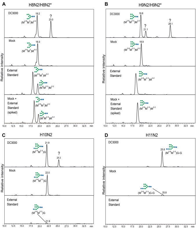 Pseudomonas syringae DC3000 infection increases glucosylated N-glycans in Arabidopsis thaliana.