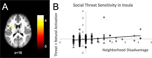 Neighborhood disadvantage, race/ethnicity and neural sensitivity to social threat and reward among adolescents.