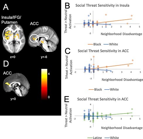 Neighborhood disadvantage, race/ethnicity and neural sensitivity to social threat and reward among adolescents.