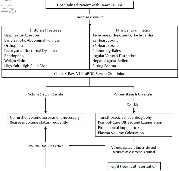 Assessment of Volume Status in Hospitalized Patients With Chronic Heart Failure.