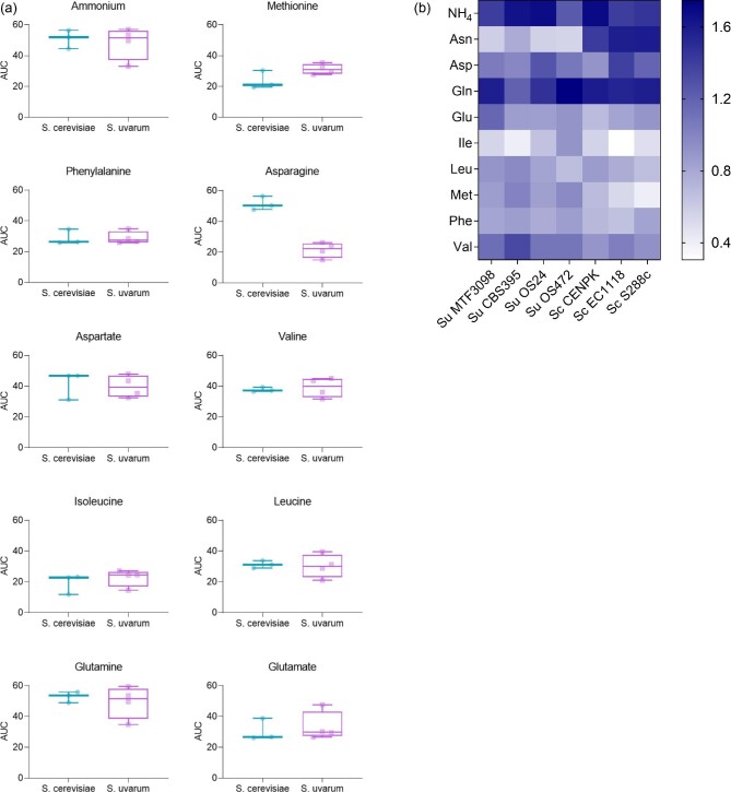 The growth and metabolome of Saccharomyces uvarum in wine fermentations are strongly influenced by the route of nitrogen assimilation.