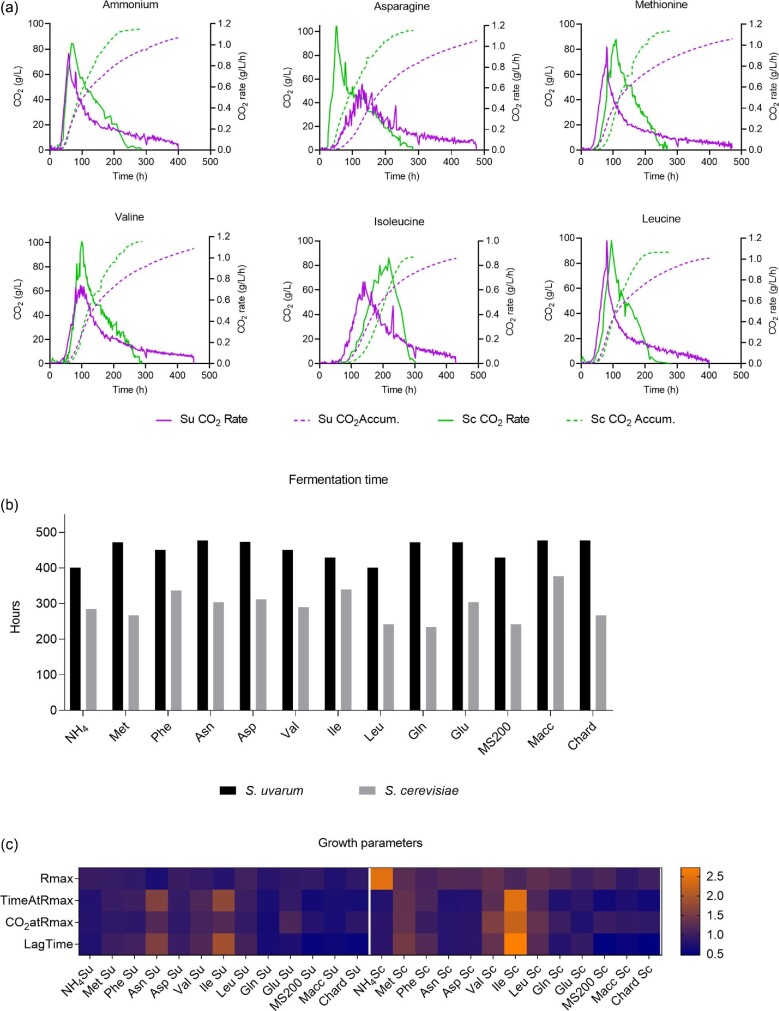 The growth and metabolome of Saccharomyces uvarum in wine fermentations are strongly influenced by the route of nitrogen assimilation.