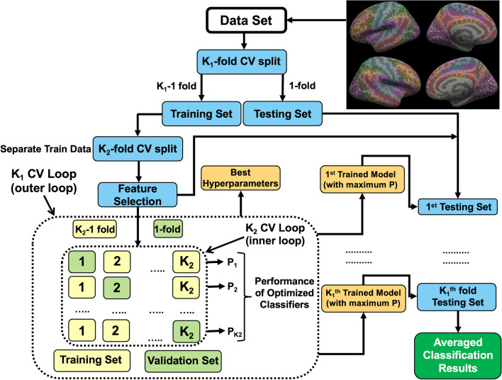 Machine learning based identification of structural brain alterations underlying suicide risk in adolescents.