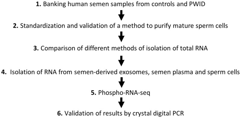 Men who inject opioids exhibit altered tRNA-Gly-GCC isoforms in semen.