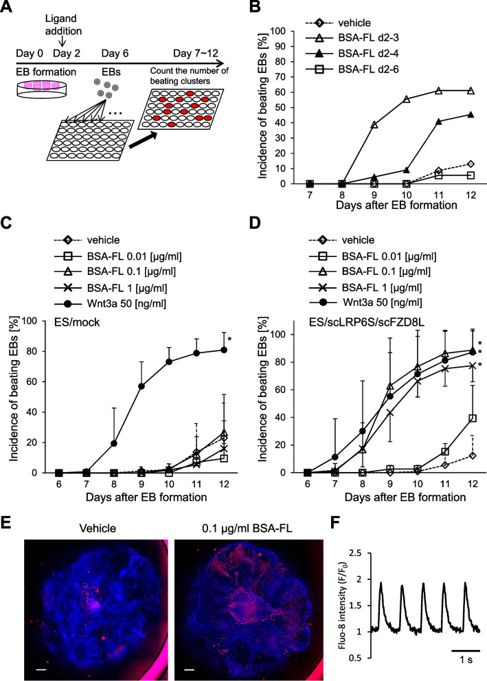 Canonical Wnt signaling activation by chimeric antigen receptors for efficient cardiac differentiation from mouse embryonic stem cells.