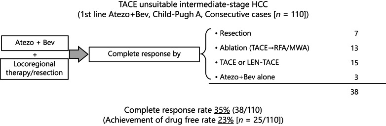 Achievement of Complete Response and Drug-Free Status by Atezolizumab plus Bevacizumab Combined with or without Curative Conversion in Patients with Transarterial Chemoembolization-Unsuitable, Intermediate-Stage Hepatocellular Carcinoma: A Multicenter Proof-Of-Concept Study.