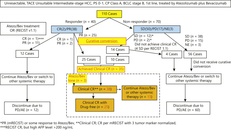 Achievement of Complete Response and Drug-Free Status by Atezolizumab plus Bevacizumab Combined with or without Curative Conversion in Patients with Transarterial Chemoembolization-Unsuitable, Intermediate-Stage Hepatocellular Carcinoma: A Multicenter Proof-Of-Concept Study.