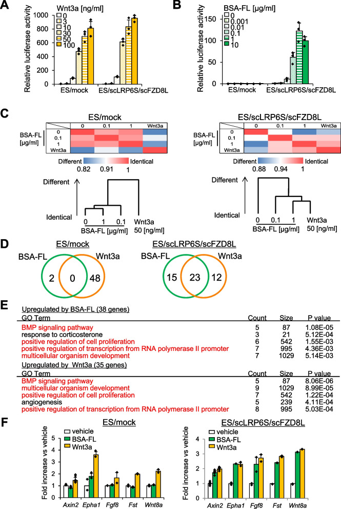 Canonical Wnt signaling activation by chimeric antigen receptors for efficient cardiac differentiation from mouse embryonic stem cells.