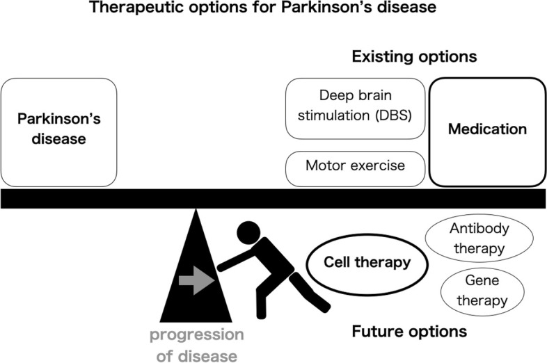 Cell therapy for Parkinson's disease with induced pluripotent stem cells.