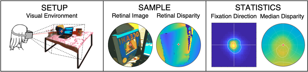 The Statistics of Eye Movements and Binocular Disparities during VR Gaming: Implications for Headset Design.