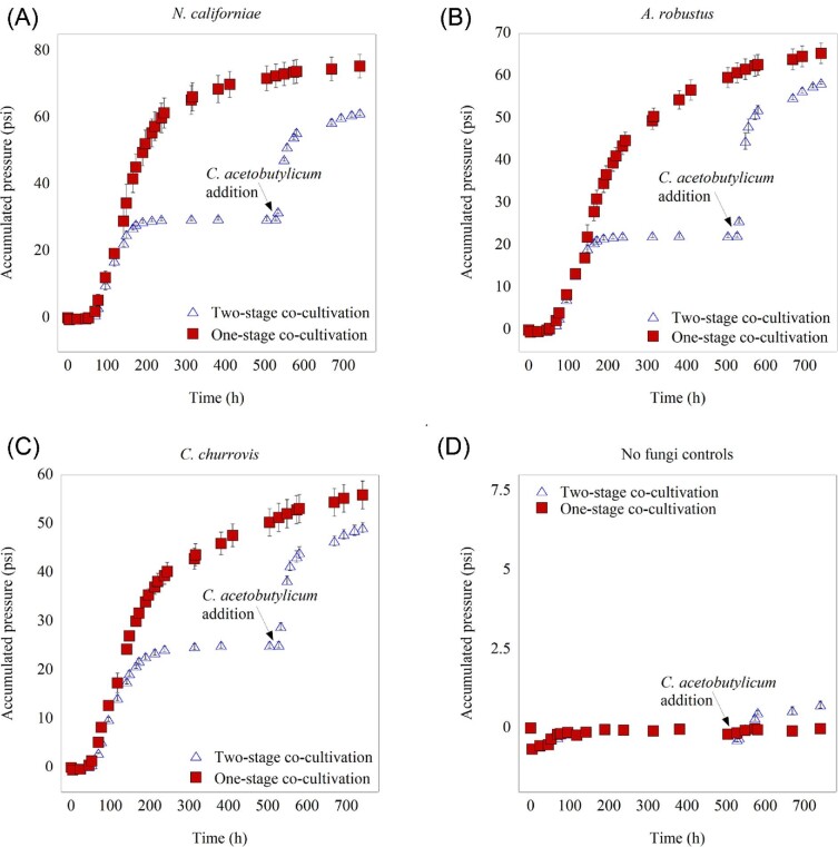 Co‑cultivation of anaerobic fungi with Clostridium acetobutylicum bolsters butyrate and butanol production from cellulose and lignocellulose.