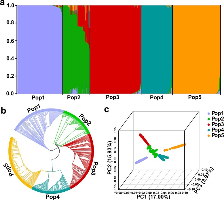 Large-scale population structure and genetic architecture of agronomic traits of garlic.