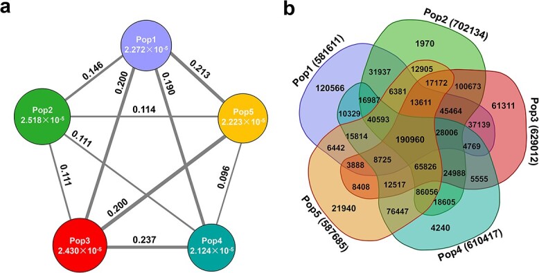 Large-scale population structure and genetic architecture of agronomic traits of garlic.