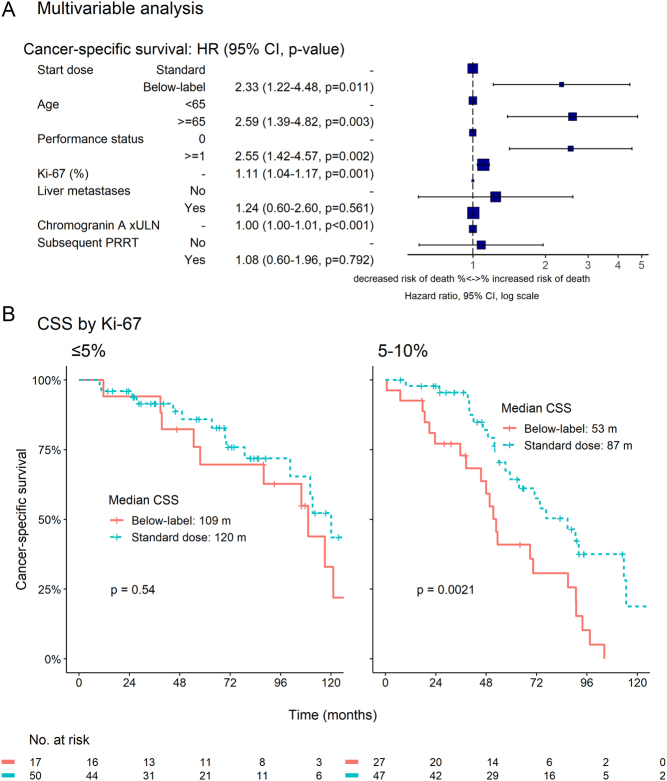 Treatment efficacy in a metastatic small intestinal neuroendocrine tumour grade 2 cohort.