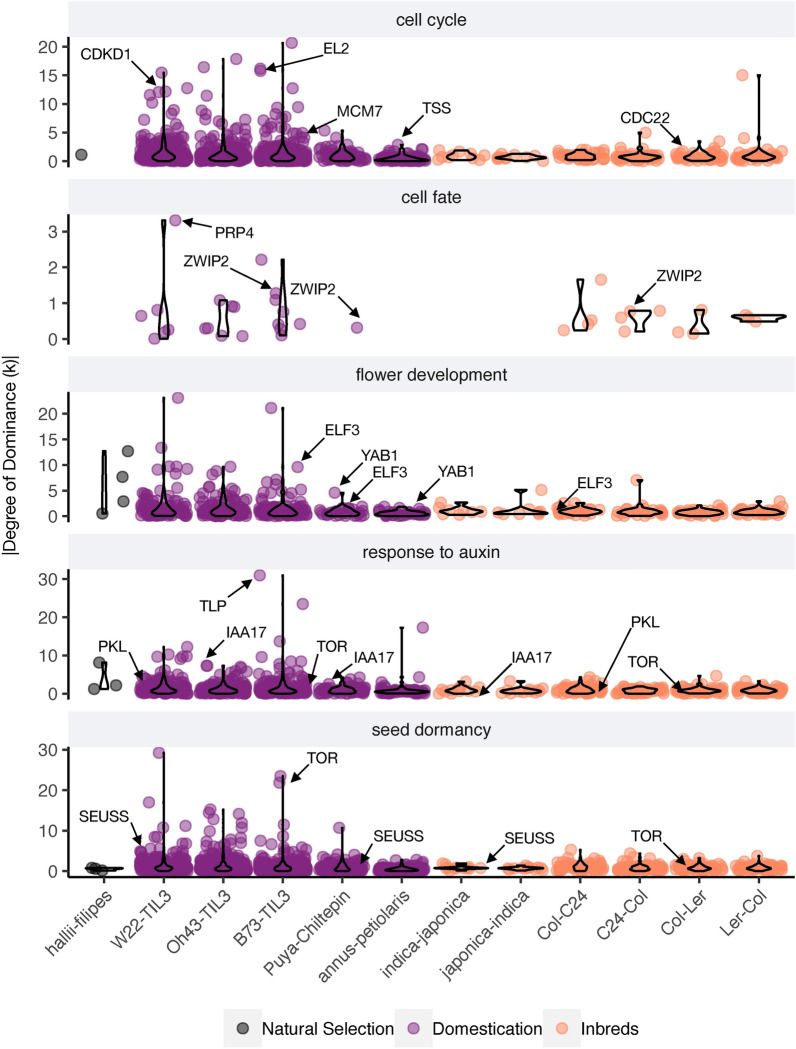 The role of non-additive gene action on gene expression variation in plant domestication.