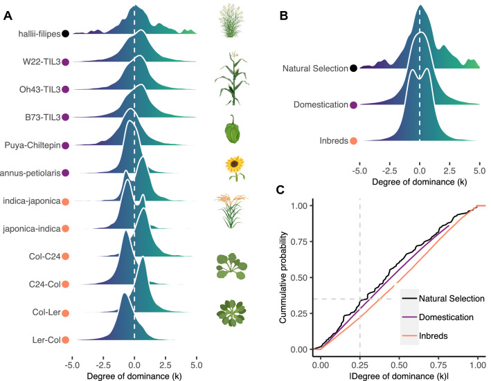 The role of non-additive gene action on gene expression variation in plant domestication.