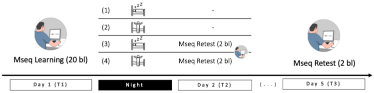 Does Motor Memory Reactivation through Practice and Post-Learning Sleep Modulate Consolidation?