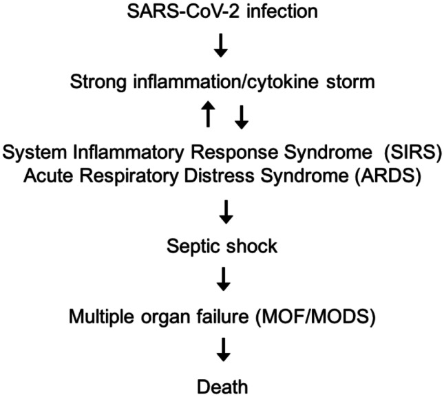 A Review of Persistent Post-COVID Syndrome (PPCS).